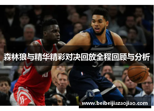 森林狼与精华精彩对决回放全程回顾与分析